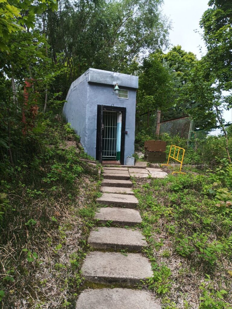 photo 2025 09 19 08 03 17 768x1020