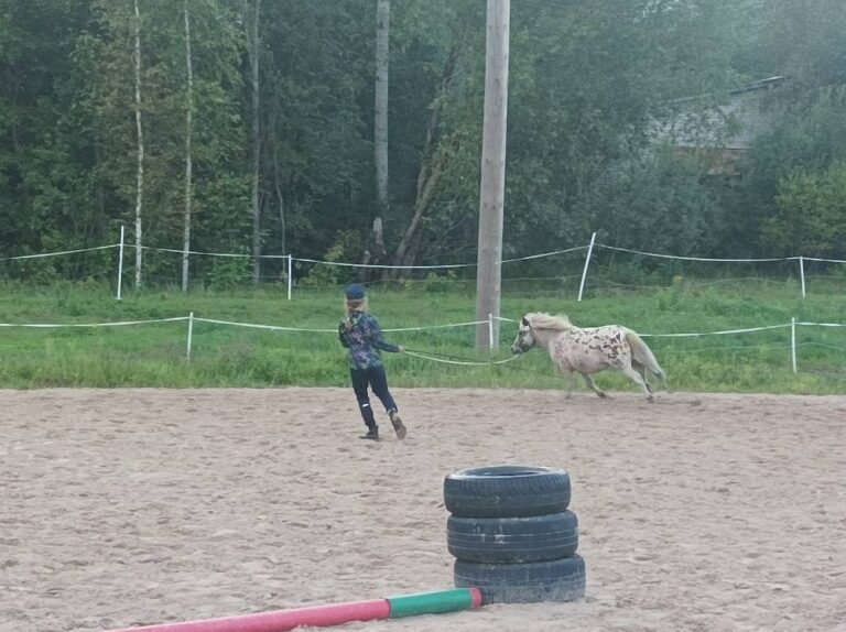 538361855 749226697867087 4351297191527607243 n 768x574