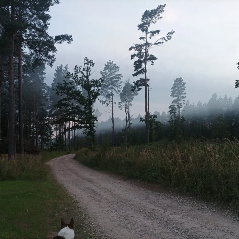 541196912 18016234226765431 4251232269796451930 n 768x768